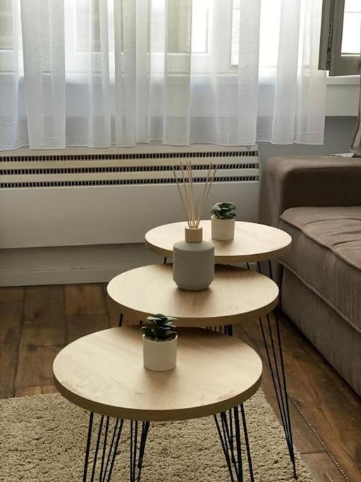 Apartment In Belgrade With Small Parking Space Extérieur photo