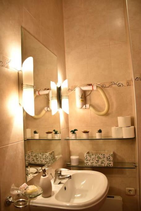 Apartment In Belgrade With Small Parking Space Extérieur photo