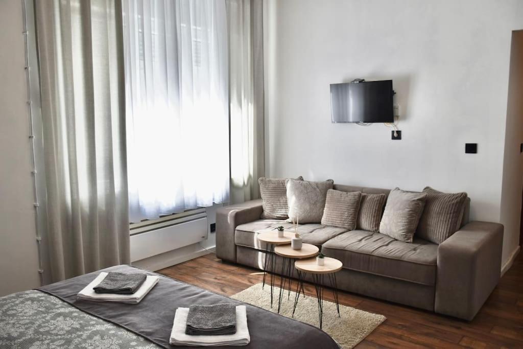 Apartment In Belgrade With Small Parking Space Extérieur photo